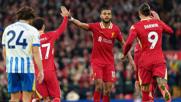 在这篇文章 在这篇文章