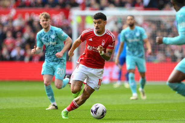 调整能力极 调整能力极