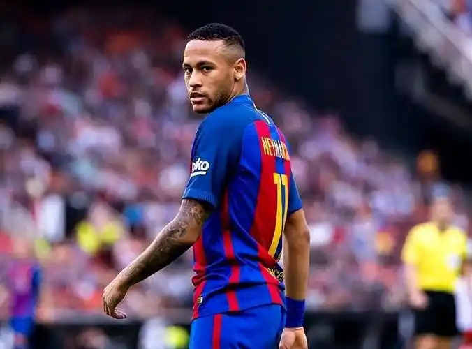 巴克利队的 巴克利队的